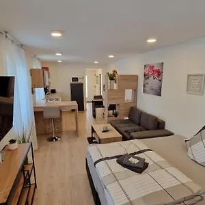 Appartment-ferienwohnug Mit Küche, Bad, Kostenlos Wlan Und Stellplatz, Modern Eingerichtet , Roding Deutschland